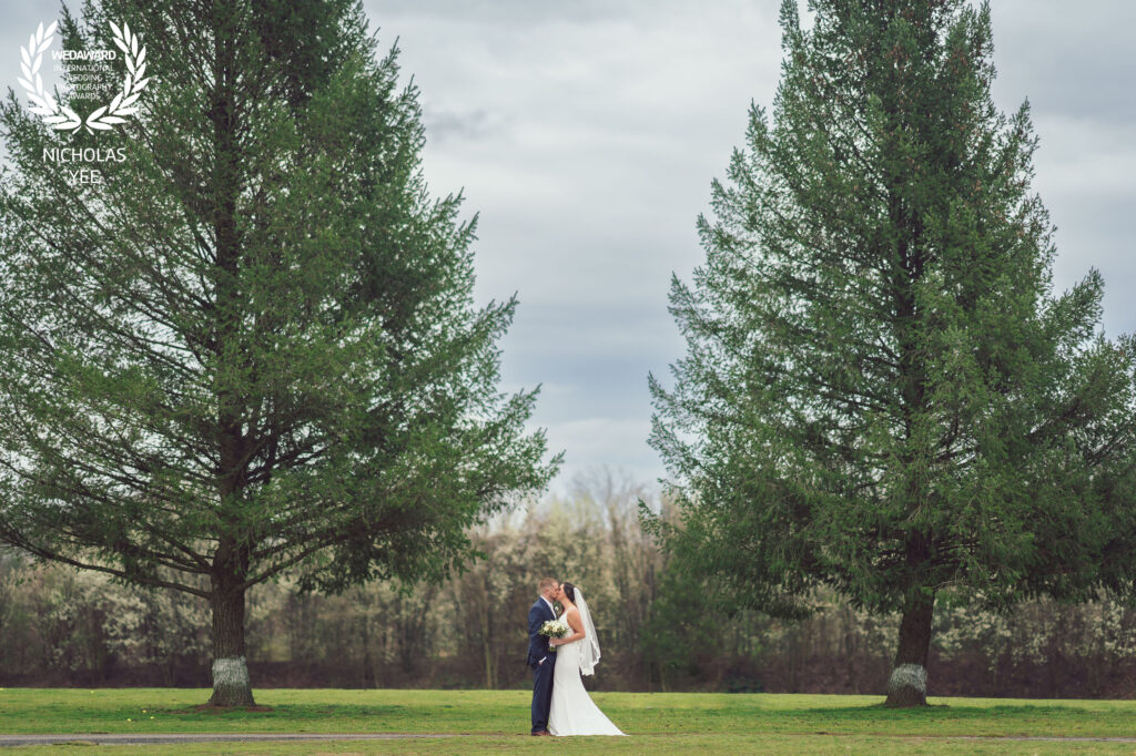 Bride and groom sharing a kiss outdoors on a green lawn, framed by two tall evergreen trees under a cloudy sky, part of the WedAward Collection #91.