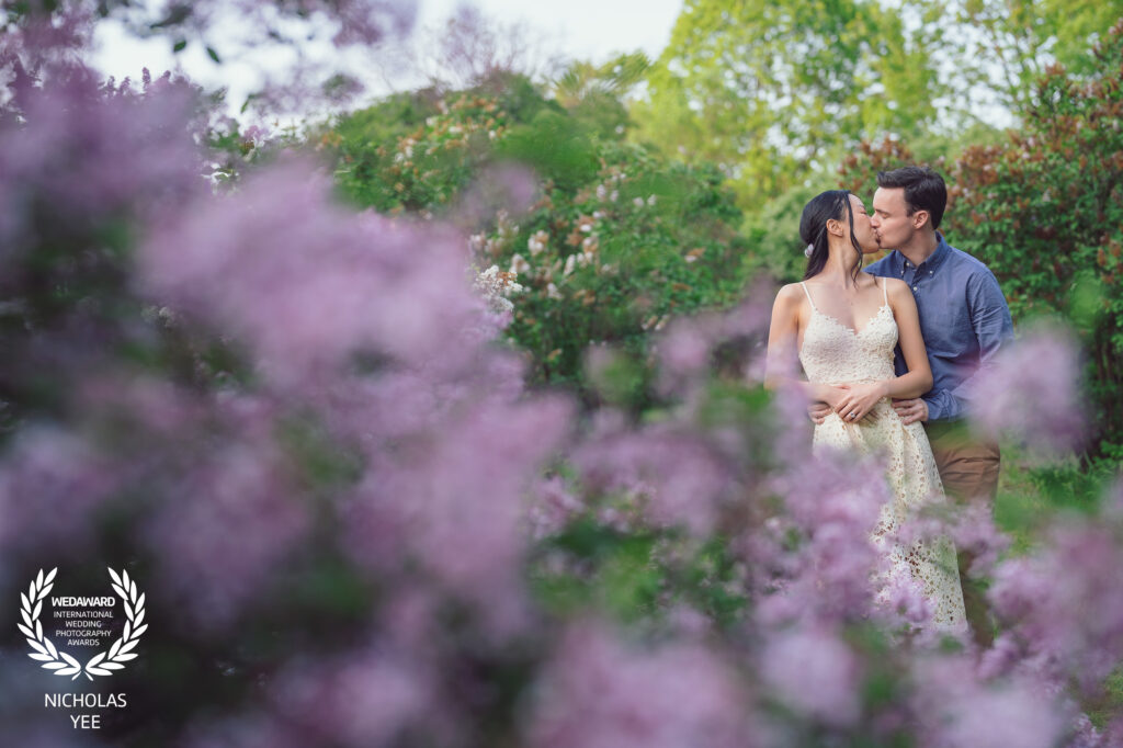 Couple sharing a kiss in a garden surrounded by blooming purple flowers, creating a dreamy and intimate scene, included in the WedAward Collection #96.